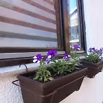 Apartmán Mario *