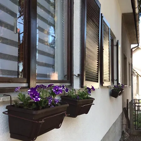 Mario Apartment