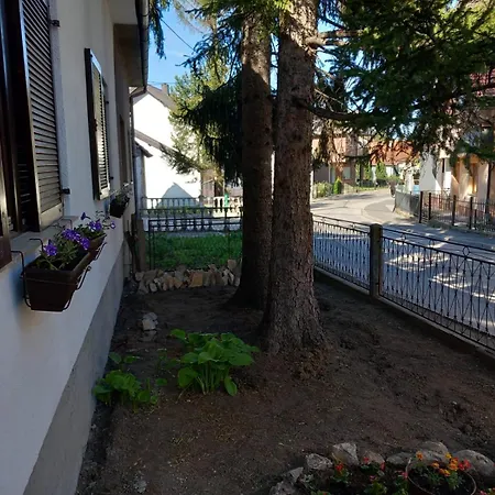 Mario Apartmán *