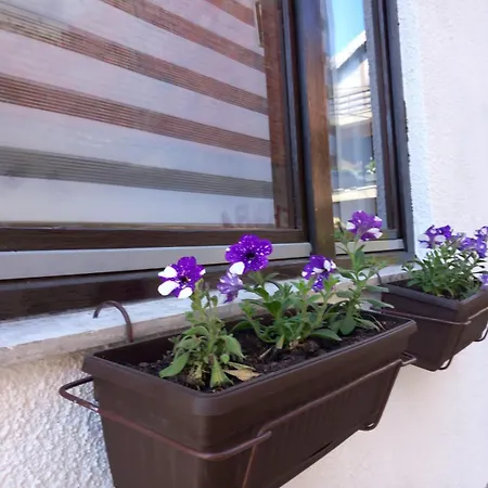 Apartamento Mario *