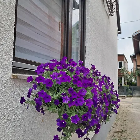 Appartement Mario *